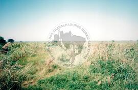 Visita à África - Maguilla (Africa, [sem data]) [fotografia] / Fotógrafo(a) : Arquivo MST. -- Ref.: BR-SPMST_MST-SN-CIN_AMP_001100-009058-RIT.