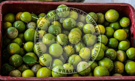 [Título n/d] : lote nº 002, pasta nº 001317, doc. nº 000010 [imagem] / Fotógrafo(a) : [autoria n/d].