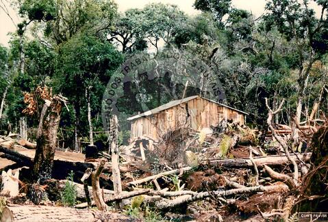 Original Document numérique not accessible