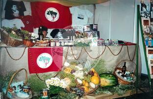 Original Digitaal object not accessible