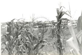 Acampamento "Fazenda Ipanema-Itepé" do MST (Iperó-SP, 1993) [fotografia] / Fotógrafo(a) : Diversos. -- Ref.: BR-SPMST_MST-SN-CIN_AMP_000043-000170-ACP.