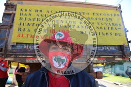 [Título n/d] : lote nº 002, pasta nº 001350, doc. nº 000183 [imagem] / Fotógrafo(a) : [autoria n/d].