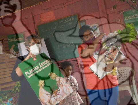 Original Objeto digital not accessible