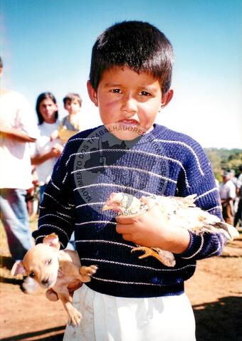 Original Document numérique not accessible