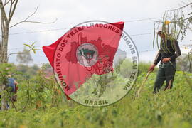 [Título n/d] : lote nº 002, pasta nº 000014, doc. nº 000225 [imagem] / Fotógrafo(a) : [autoria n/d].