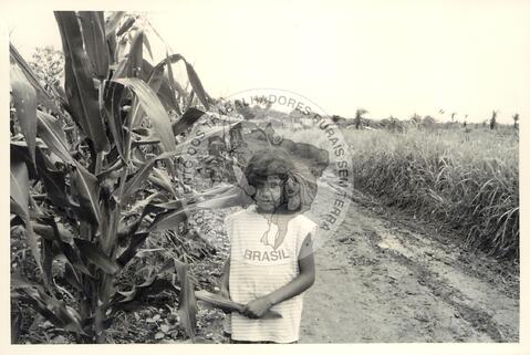 Original Document numérique not accessible