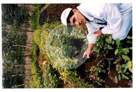 Assentamento "30 de outubro" do MST (Santa Catarina, [sem data]) [fotografia] / Fotógrafo(a) : Douglas Mansur. -- Ref.: BR-SPMST_MST-SN-CIN_AMP_000199-001476-ASS.