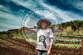 [Título n/d] : lote nº 002, pasta nº 001317, doc. nº 000085 [imagem] / Fotógrafo(a) : [autoria n/d].