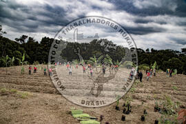 [Título n/d] : lote nº 002, pasta nº 001317, doc. nº 000082 [imagem] / Fotógrafo(a) : [autoria n/d].