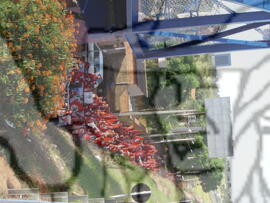 [Título n/d] : lote nº 002, pasta nº 000043, doc. nº 000108 [imagem] / Fotógrafo(a) : [autoria n/d].