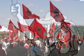 [Título n/d] : lote nº 002, pasta nº 000062, doc. nº 000041 [imagem] / Fotógrafo(a) : [autoria n/d].