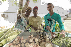 [Título n/d] : lote nº 002, pasta nº 001319, doc. nº 000089 [imagem] / Fotógrafo(a) : [autoria n/d].