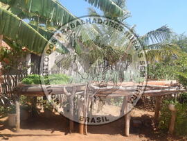 [Título n/d] : lote nº 002, pasta nº 001312, doc. nº 000023 [imagem] / Fotógrafo(a) : [autoria n/d].