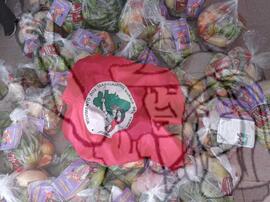 [Título n/d] : lote nº 002, pasta nº 001351, doc. nº 000304 [imagem] / Fotógrafo(a) : [autoria n/d].