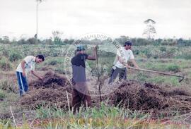 Curso Prolongado região sudeste - CIDAP (São Matheus-ES, ago. 2000) [fotografia] / Fotógrafo(a) : Leticia Barqueta. -- Ref.: BR-SPMST_MST-SN-CIN_AMP_000822-005449-CUR.