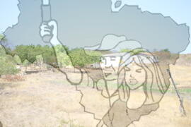 [Título n/d] : lote nº 002, pasta nº 001312, doc. nº 000263 [imagem] / Fotógrafo(a) : [autoria n/d].