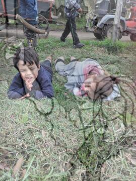 [Título n/d] : lote nº 002, pasta nº 000025, doc. nº 000017 [imagem] / Fotógrafo(a) : [autoria n/d].