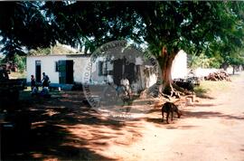 Visita à África - Maguilla (Africa, [sem data]) [fotografia] / Fotógrafo(a) : Arquivo MST. -- Ref.: BR-SPMST_MST-SN-CIN_AMP_001100-009033-RIT.