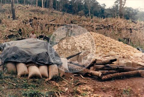 Original Objeto digital not accessible