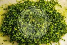 [Título n/d] : lote nº 002, pasta nº 001350, doc. nº 000135 [imagem] / Fotógrafo(a) : [autoria n/d].