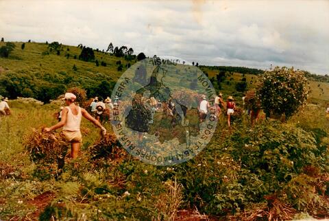 Original Document numérique not accessible