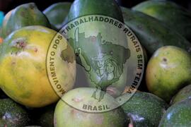 [Título n/d] : lote nº 002, pasta nº 001319, doc. nº 000055 [imagem] / Fotógrafo(a) : [autoria n/d].