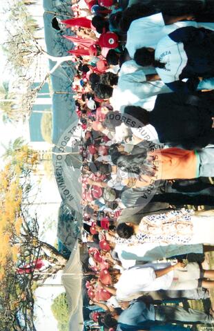 Original Digitaal object not accessible