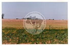 Acampamento "Guarantã" (São Paulo (Estado), jul. 1998) [fotografia] / Fotógrafo(a) : Douglas Mansur. -- Ref.: BR-SPMST_MST-SN-CIN_AMP_000045-000201-ACP.