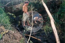 Reflorestamento Fazenda Dissenha (Abelardo Luz-SC, [sem data]) [fotografia] / Fotógrafo(a) : [sem autoria]. -- Ref.: BR-SPMST_MST-SN-CIN_AMP_001992-015225-PDU.