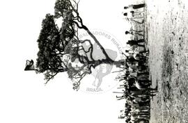 Ocupação em Brasília (Brasília-DF, [sem data]) [fotografia] / Fotógrafo(a) : Arquivo MST. -- Ref.: BR-SPMST_MST-SN-CIN_AMP_001906-014243-OCU.