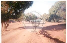 Intercâmbio com a UNAC (Moçambique, ago. 2000) [fotografia] / Fotógrafo(a) : Arquivo MST. -- Ref.: BR-SPMST_MST-SN-CIN_AMP_001092-008846-RIT.