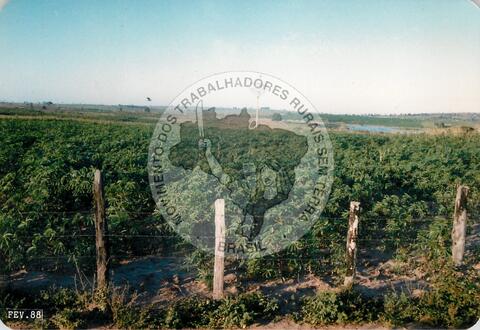 Original Document numérique not accessible