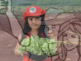 [Título n/d] : lote nº 002, pasta nº 001337, doc. nº 000021 [imagem] / Fotógrafo(a) : [autoria n/d].