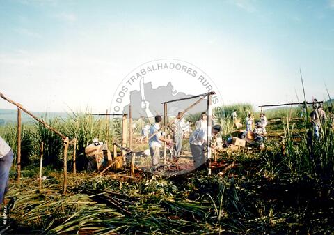 Original Document numérique not accessible