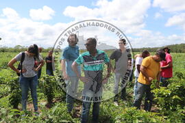 [Título n/d] : lote nº 002, pasta nº 001313, doc. nº 000348 [imagem] / Fotógrafo(a) : [autoria n/d].