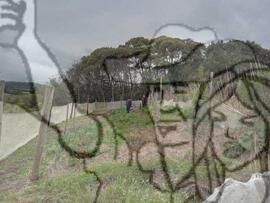 [Título n/d] : lote nº 002, pasta nº 000033, doc. nº 000029 [imagem] / Fotógrafo(a) : [autoria n/d].