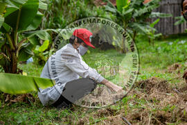 [Título n/d] : lote nº 002, pasta nº 001317, doc. nº 000041 [imagem] / Fotógrafo(a) : [autoria n/d].