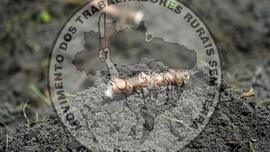 [Título n/d] : lote nº 002, pasta nº 001322, doc. nº 000007 [imagem] / Fotógrafo(a) : [autoria n/d].