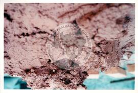 Semana Nacional de Cultura Brasileira e Reforma Agrária (Rio de Janeiro-RJ, 18 mar. 2002) [fotografia] / Fotógrafo(a) : Luciney Martins. -- Ref.: BR-SPMST_MST-SN-CIN_AMP_001820-013610-NDT.