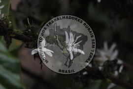 [Título n/d] : lote nº 002, pasta nº 001313, doc. nº 000042 [imagem] / Fotógrafo(a) : [autoria n/d].