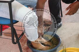 [Título n/d] : lote nº 002, pasta nº 000015, doc. nº 000251 [imagem] / Fotógrafo(a) : [autoria n/d].