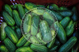 [Título n/d] : lote nº 002, pasta nº 001348, doc. nº 000004 [imagem] / Fotógrafo(a) : [autoria n/d].