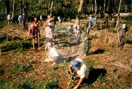 Ocupação Fazenda Dissenha (Abelardo Luz-SC, [sem data]) [fotografia] / Fotógrafo(a) : Arquivo MST. -- Ref.: BR-SPMST_MST-SN-CIN_AMP_001861-014137-OCU.