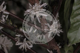 [Título n/d] : lote nº 002, pasta nº 001314, doc. nº 000016 [imagem] / Fotógrafo(a) : [autoria n/d].