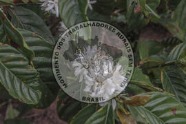 [Título n/d] : lote nº 002, pasta nº 001314, doc. nº 000005 [imagem] / Fotógrafo(a) : [autoria n/d].