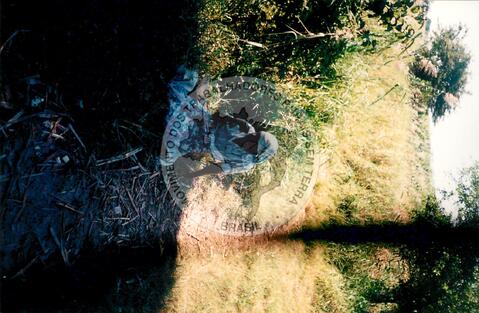 Original Document numérique not accessible