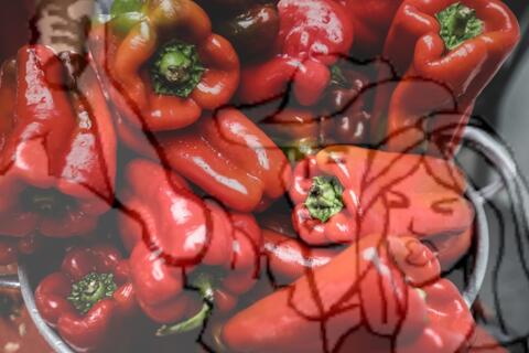 Original Objeto digital not accessible