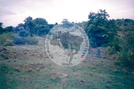 Viagem de José Campos (Índia, 2002) [fotografia] / Fotógrafo(a) : Arquivo MST. -- Ref.: BR-SPMST_MST-SN-CIN_AMP_001141-009583-RIT.