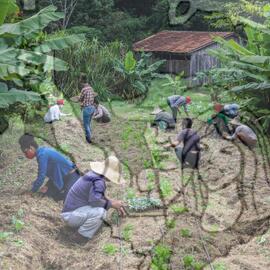 [Título n/d] : lote nº 002, pasta nº 001319, doc. nº 000145 [imagem] / Fotógrafo(a) : [autoria n/d].
