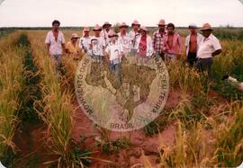 Acampamentos Diversos do MST (São Paulo (Estado), [sem data]) [fotografia] / Fotógrafo(a) : Diversos. -- Ref.: BR-SPMST_MST-SN-CIN_AMP_000057-000550-ACP.